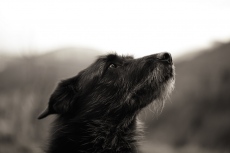 &Eacute;yoka, 2009-2022