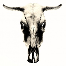 Tous pour un ou tous pourris ?