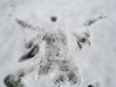 Ballade d'un moribond