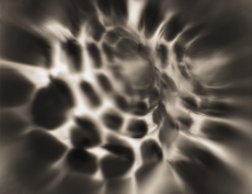 Murex n&eacute;gatif NB