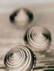 Architectonica n&eacute;gatif NB