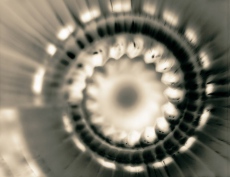 Architectonica n&eacute;gatif NB (vue de dessous)