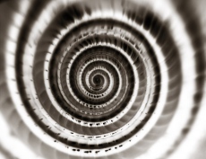 Architectonica n&eacute;gatif NB (vue de dessus)