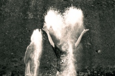 Quand les Anges s'amusent...