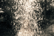 Quand les Anges s'amusent...