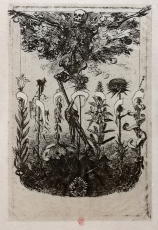 Félix Bracquemond, Eau-forte, 1860.