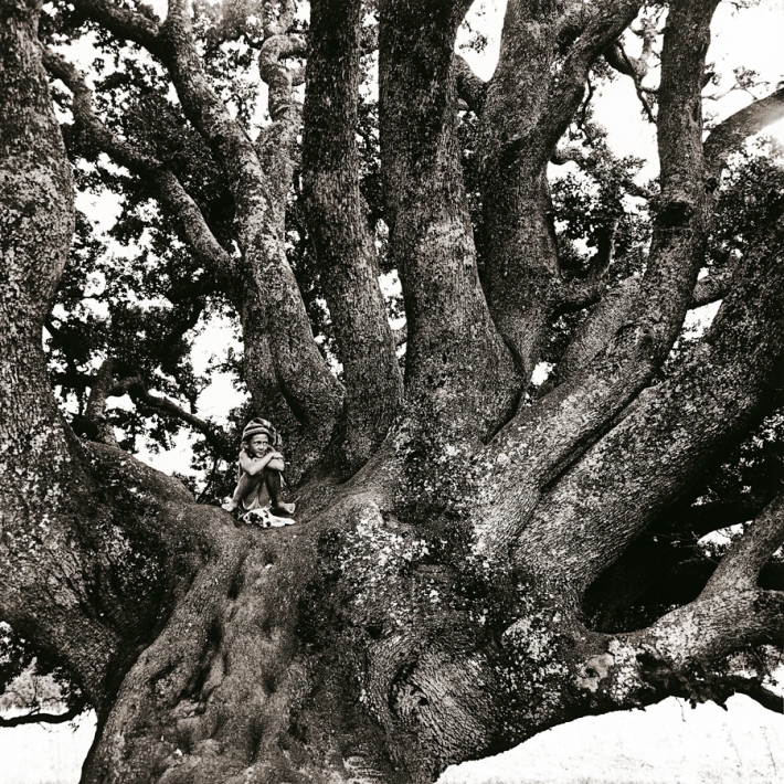 Poufi, Paola et le Sage Vert. (n&eacute;gatif NB moyen format)