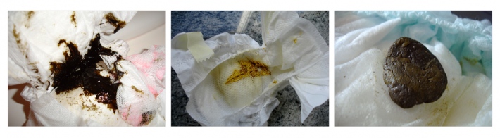 Le premier jour, le premier mois, la premi&egrave;re crotte.....