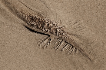 Pachamama &agrave; la plage