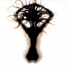 Perspectives de Taupe