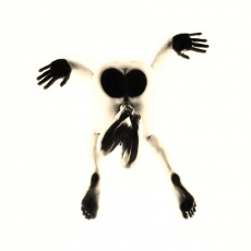 Perspectives de Taupe