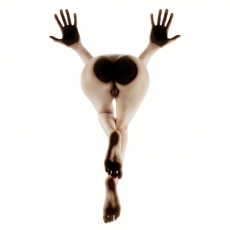 Perspectives de Taupe